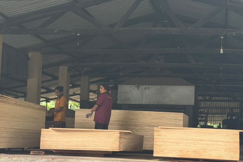 Stacks of W.B.P commercial plywood sheets on the Wayamba Ply Industries factory floor in Pothuhera